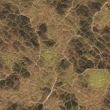 Tactical-Camouflage-257.jpg