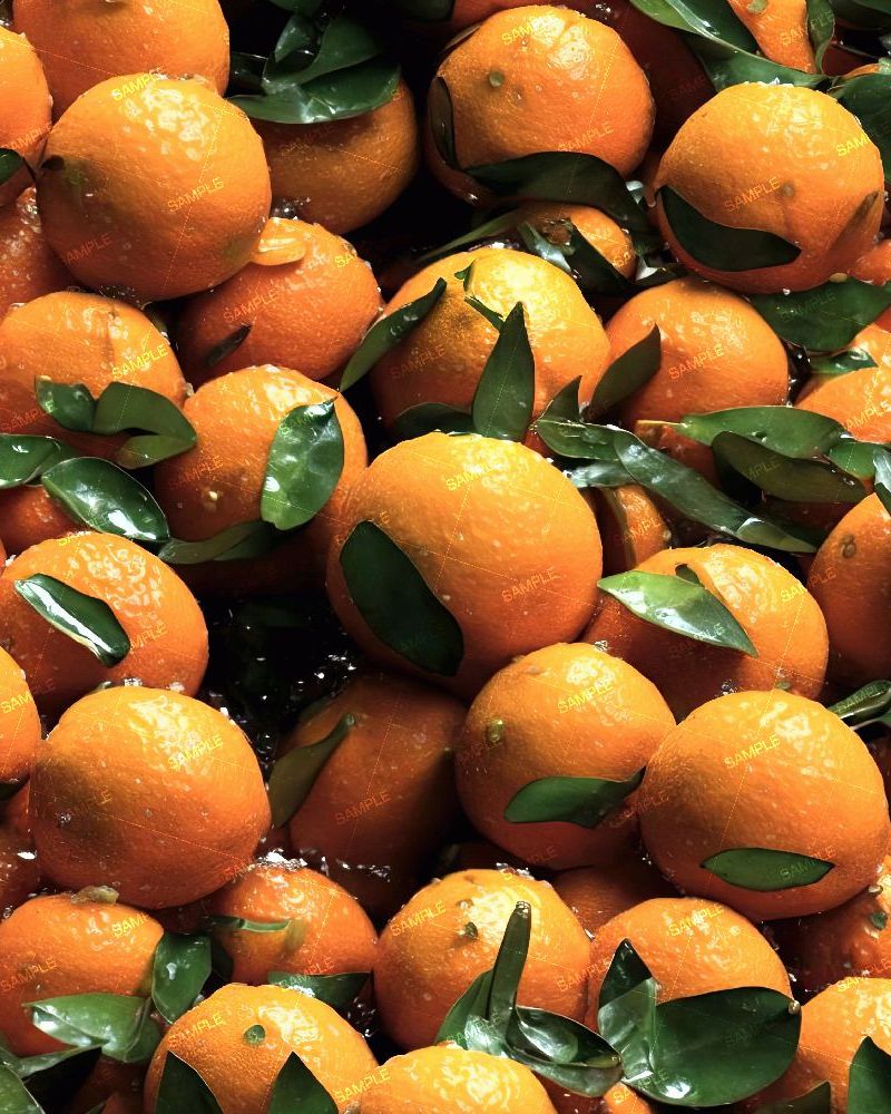 Wet Tangerines