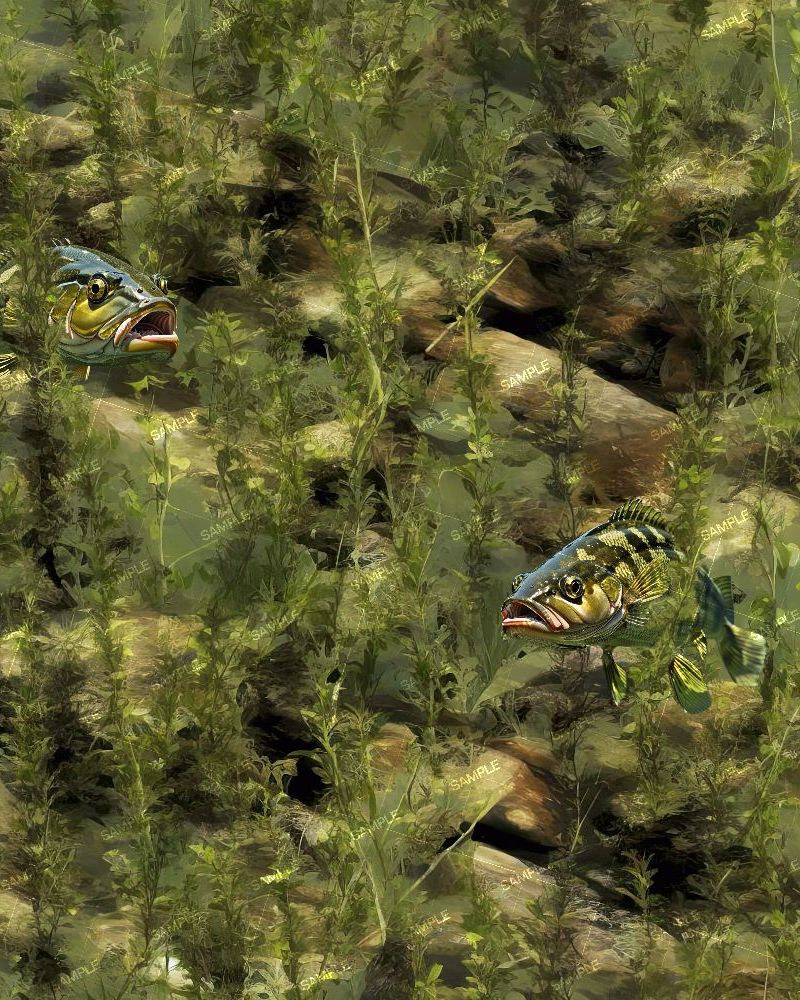 Aquatic Camouflage 44