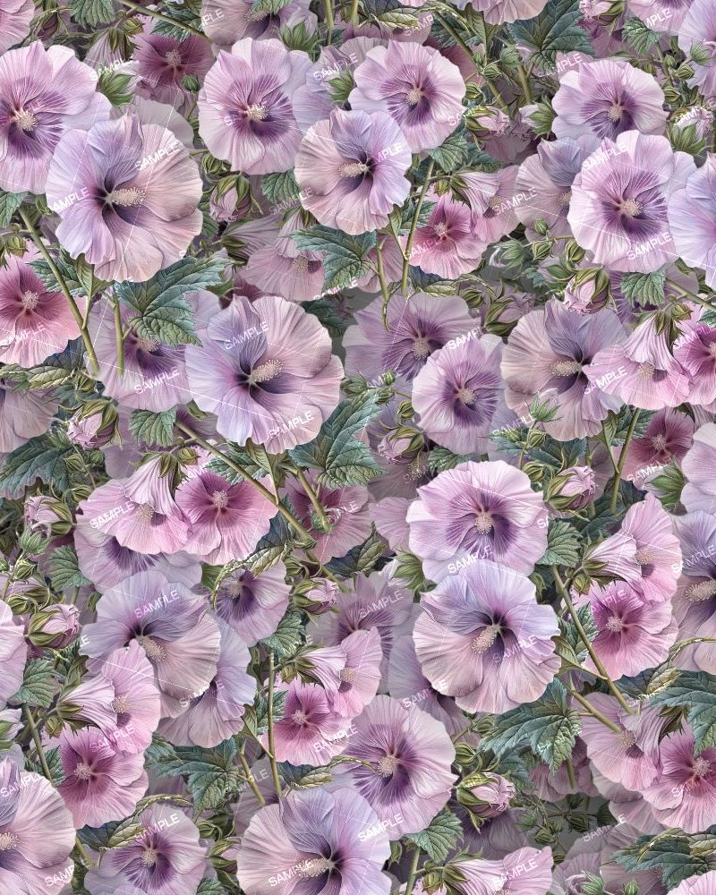 Hollyhocks 22