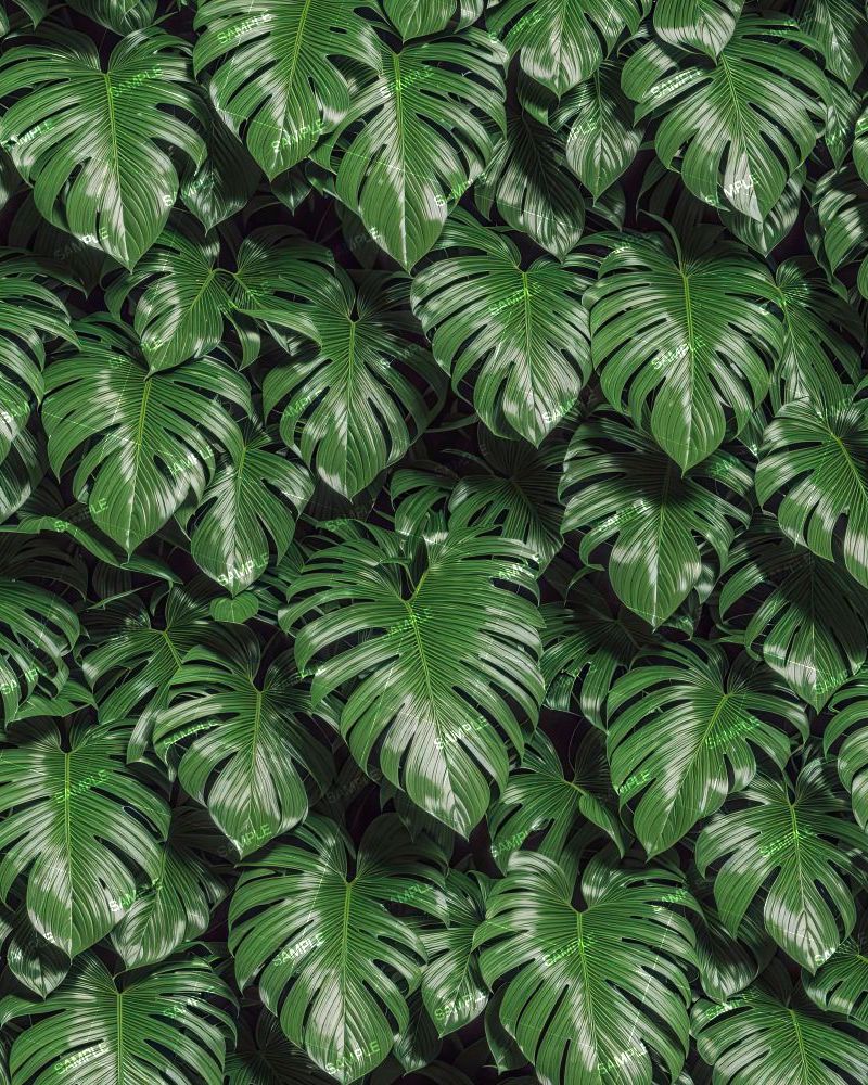 Jungle Leaves 43
