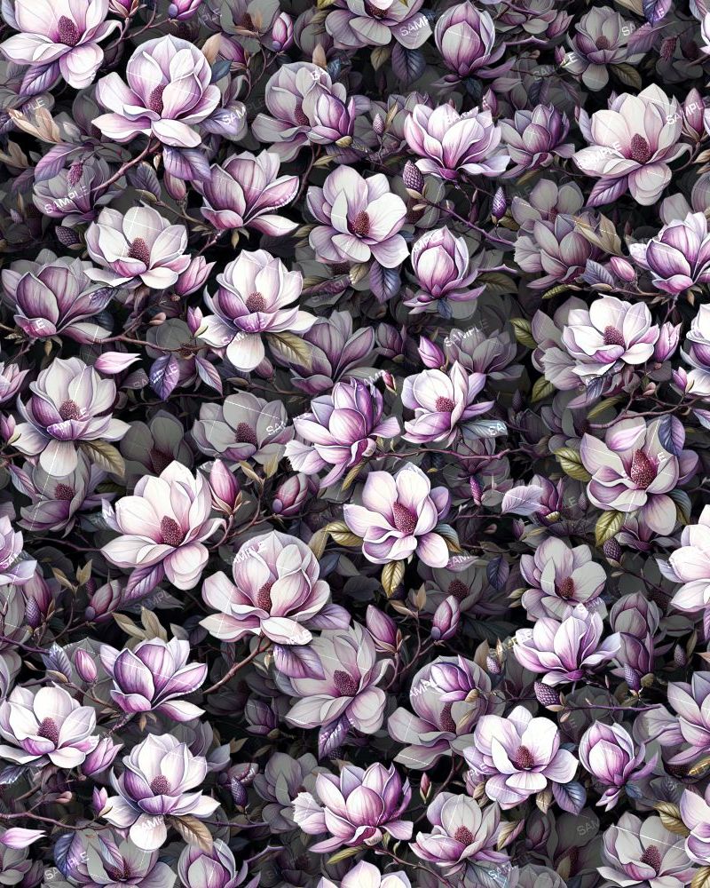 Magnolia Flowers 44
