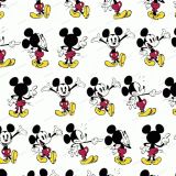 Mickeys-Expressions.jpg