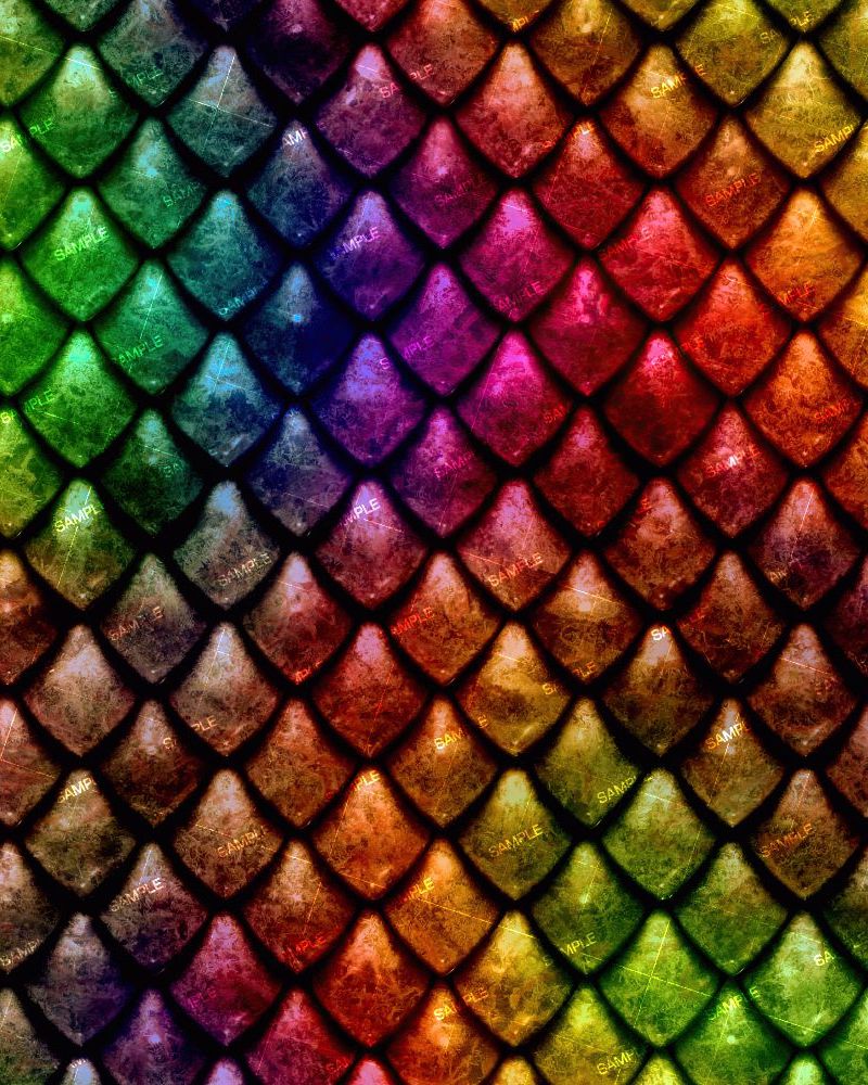 Rainbow Dragon Scales 42