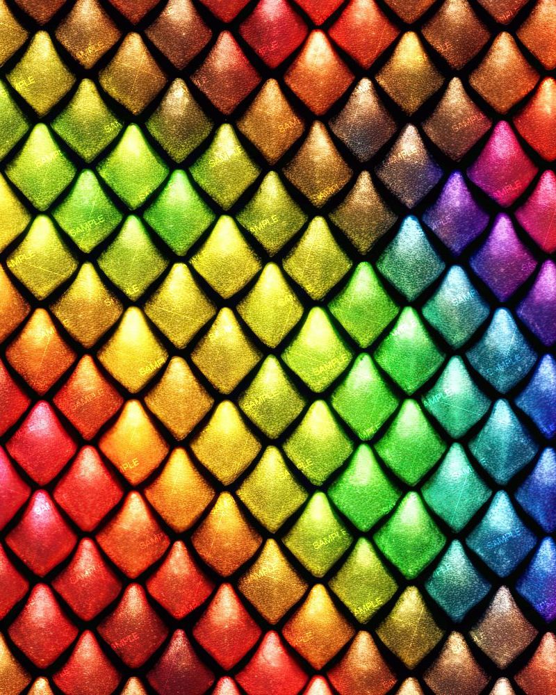 Rainbow Dragon Scales 43