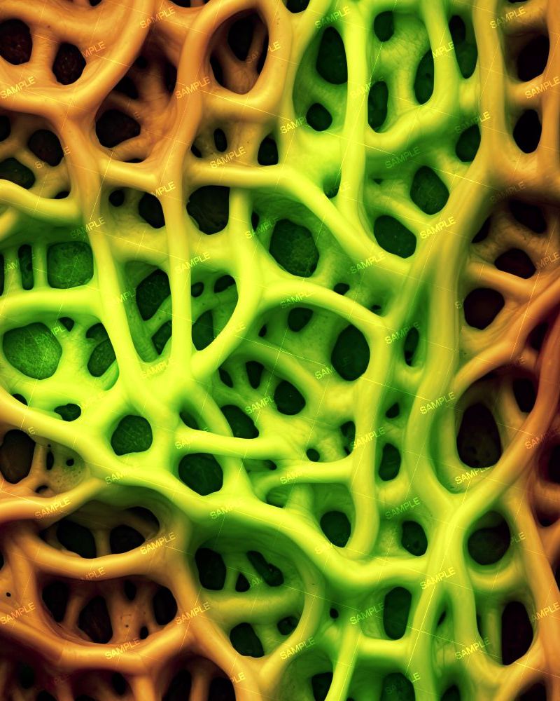 Alien Organism 34