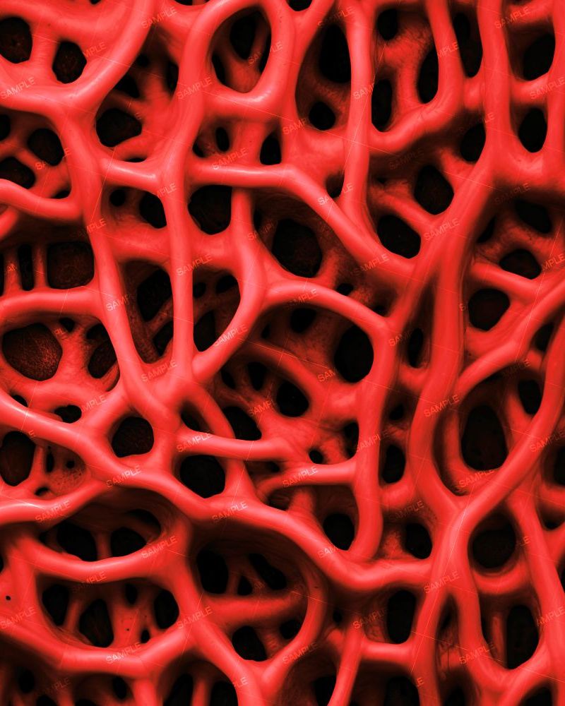 Alien Organism 35
