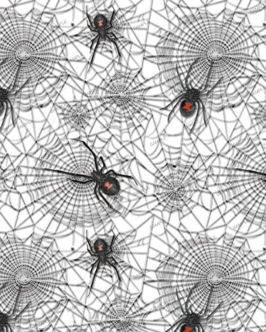 Arachnids