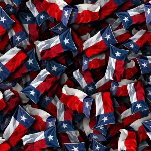 State Flags