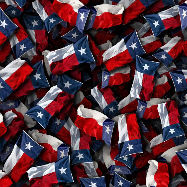 State Flags