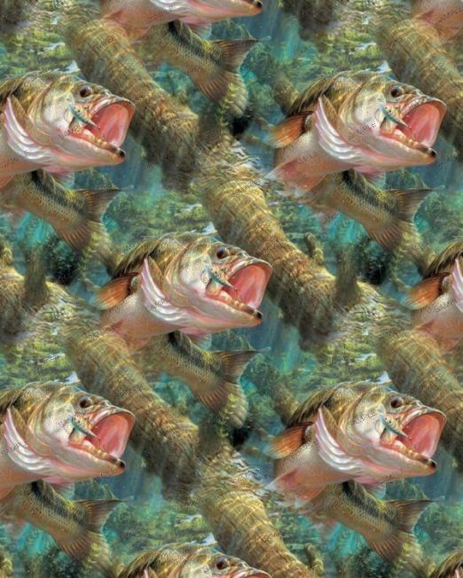 Fish