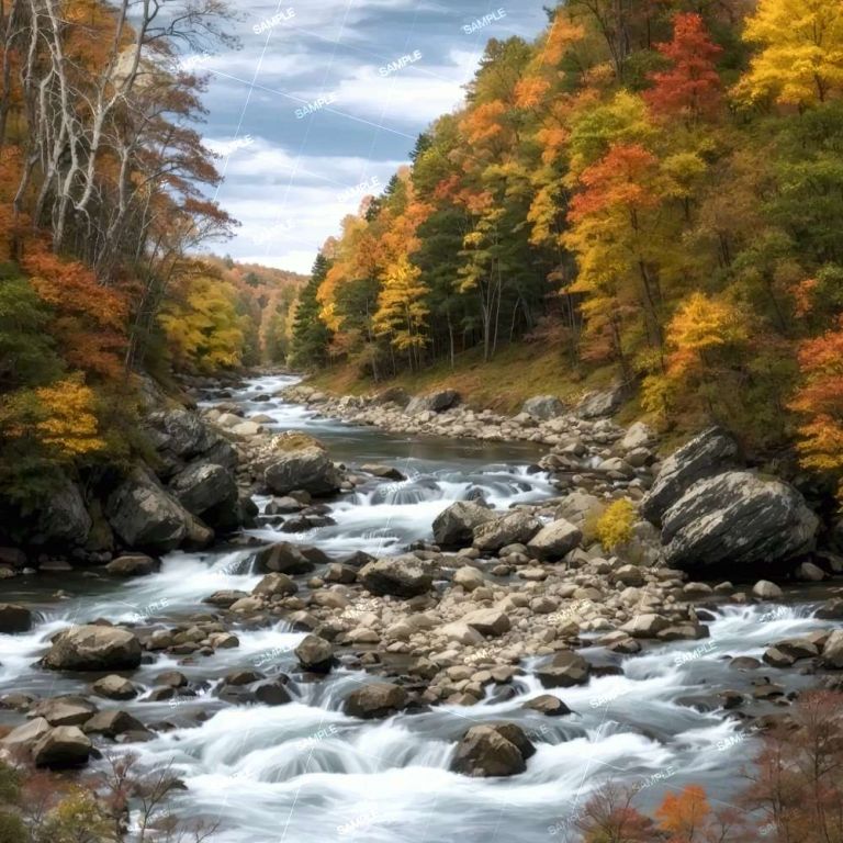 Scenery