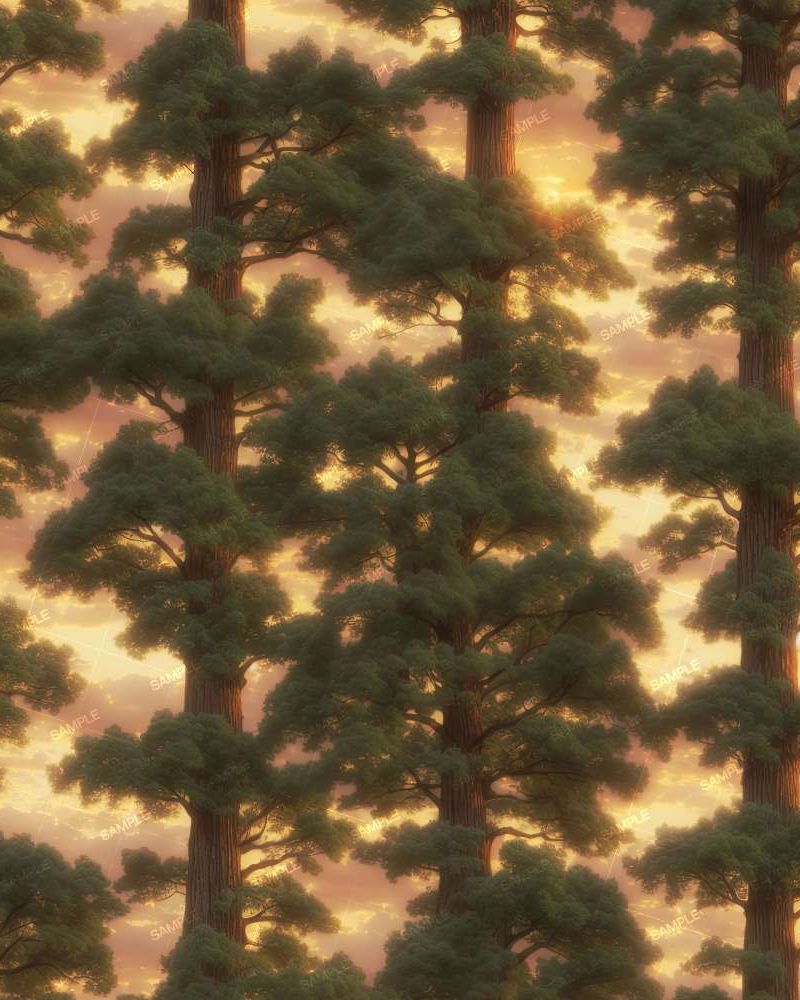 Sequoia Sunset