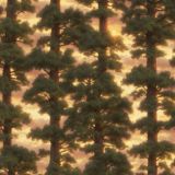 Sequoia-Sunset.jpg