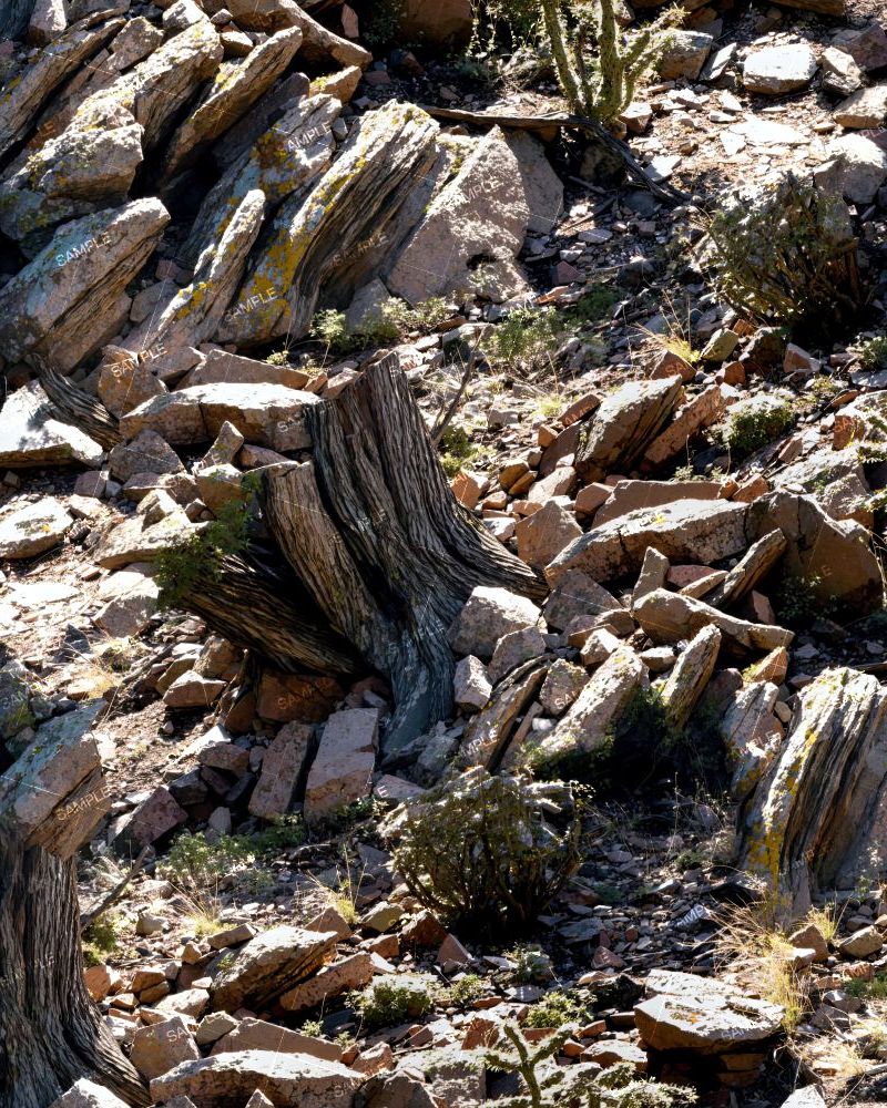 Tactical Camouflage 113