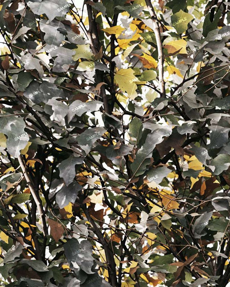 Tactical Camouflage 27