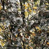 Tactical-Camo-27.jpg