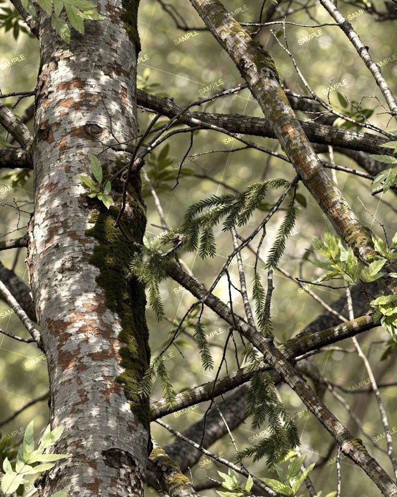 Tactical Camouflage 275