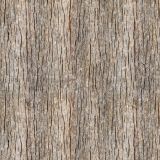 Weathered Woodgrain 43