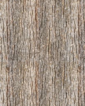 Weathered Woodgrain 43