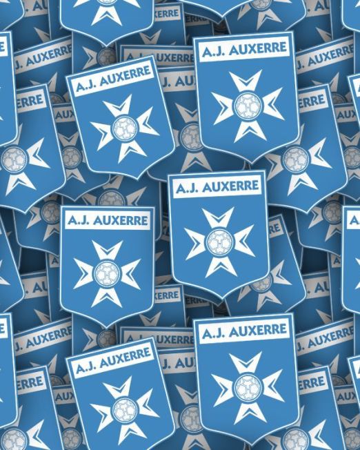 French Sports Teams