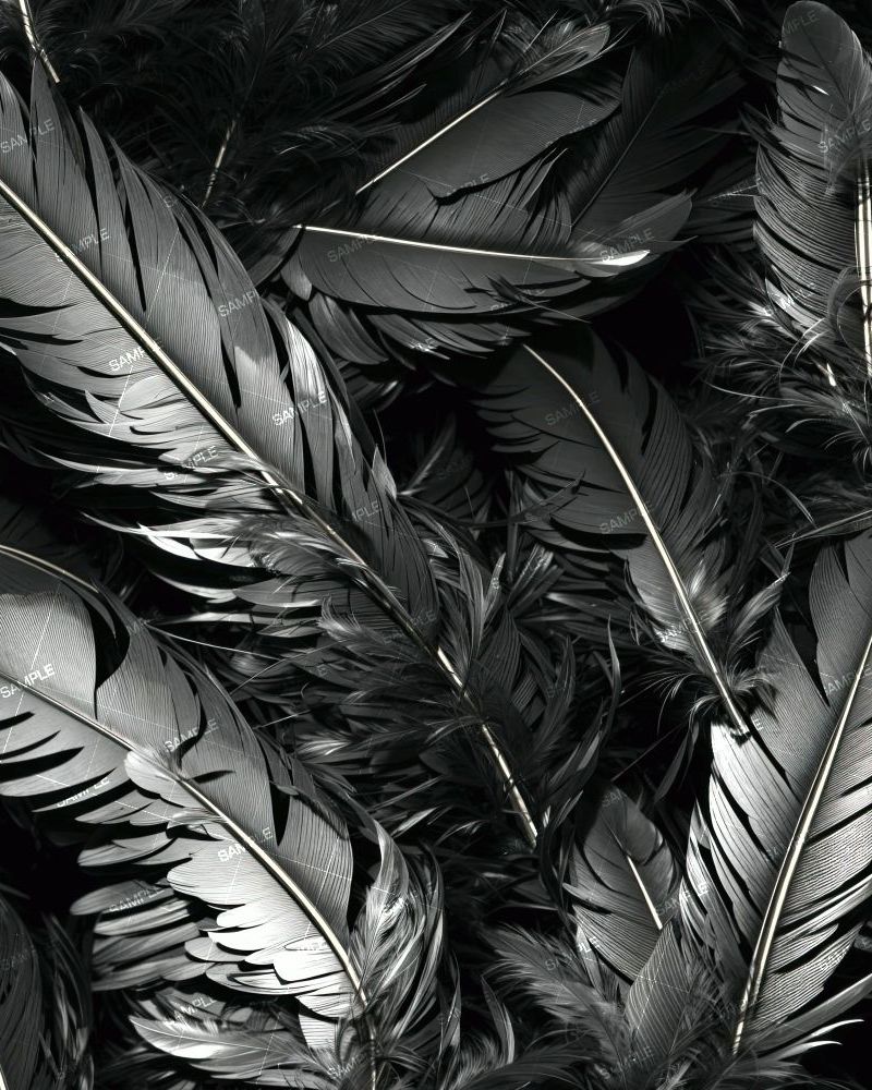 Blackbird Feathers