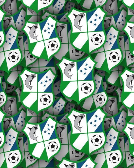 Honduran Sports Teams