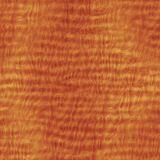 Curly-Maple-Woodgrain-32.jpg