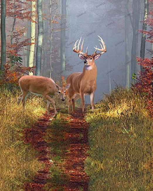 Animals