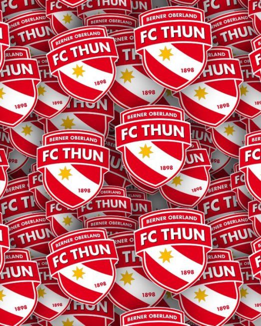 Swiss Sports Teams