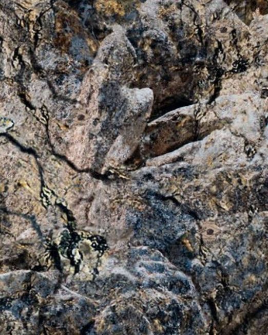 Hide Open Camouflage