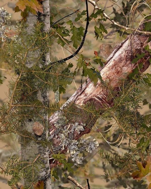 King Camouflage
