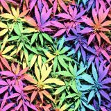 Rainbow-Ganja-Leaves-42.jpg