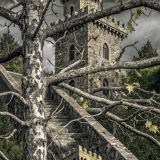 Castle-Camo-43.jpg