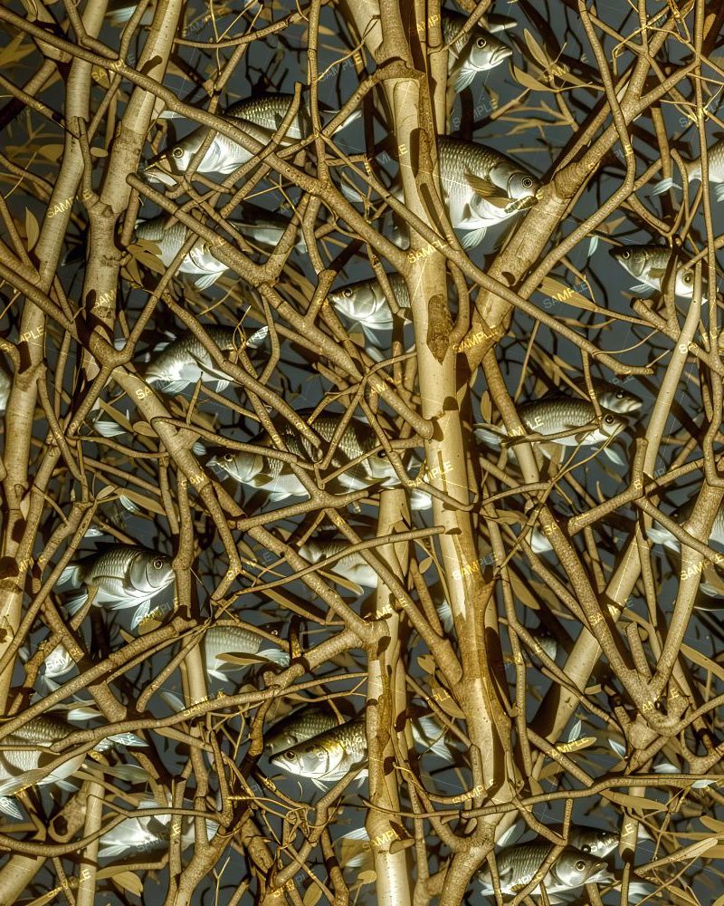 Fish Sticks Camouflage