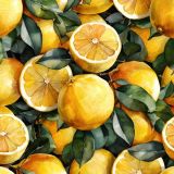 Lemons-Watercolor-42.jpg