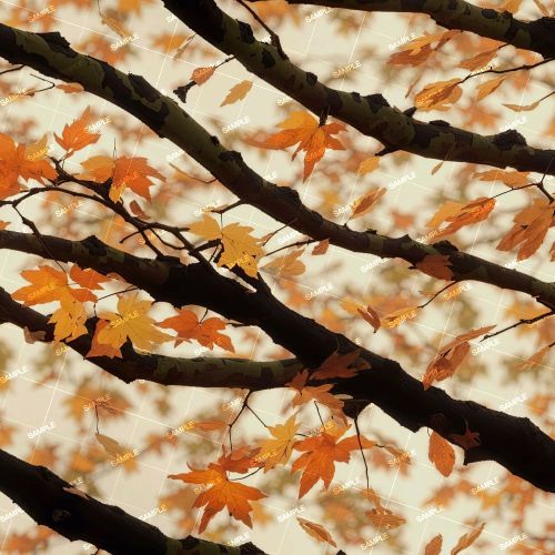 Maple Leaf Camouflage