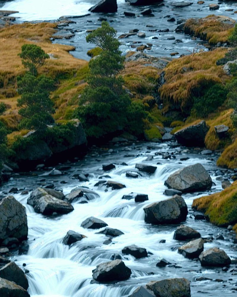 Rocky Creek 46