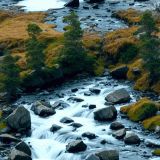 Rocky-Creek-46.jpg