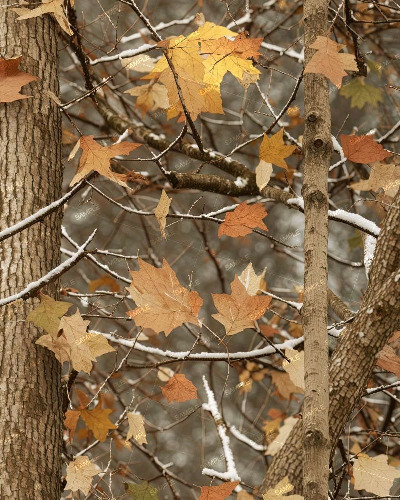 Tactical Camouflage 278