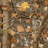Tactical-Camo-278.jpg