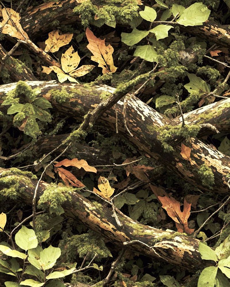 Tactical Camouflage 281