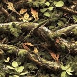 Tactical-Camo-281.jpg