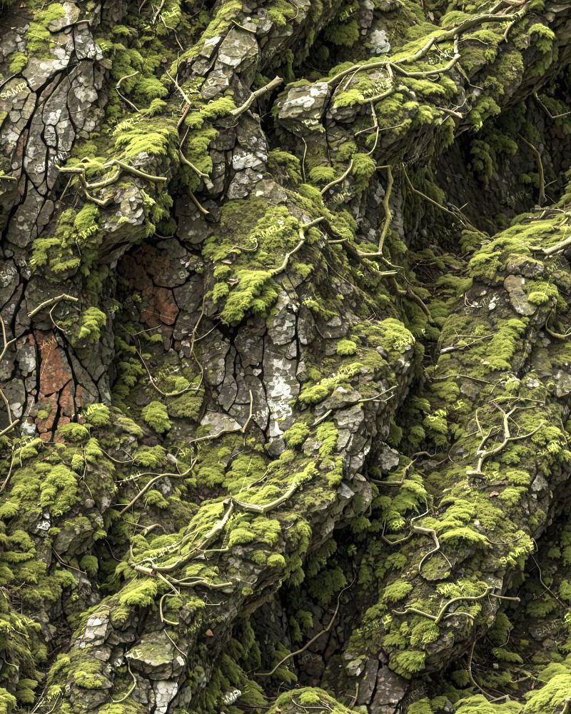 Tactical Camouflage 283