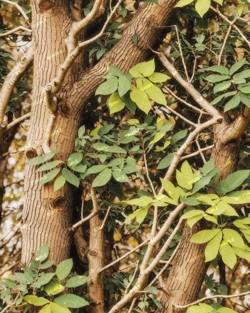 Tactical Camouflage 284