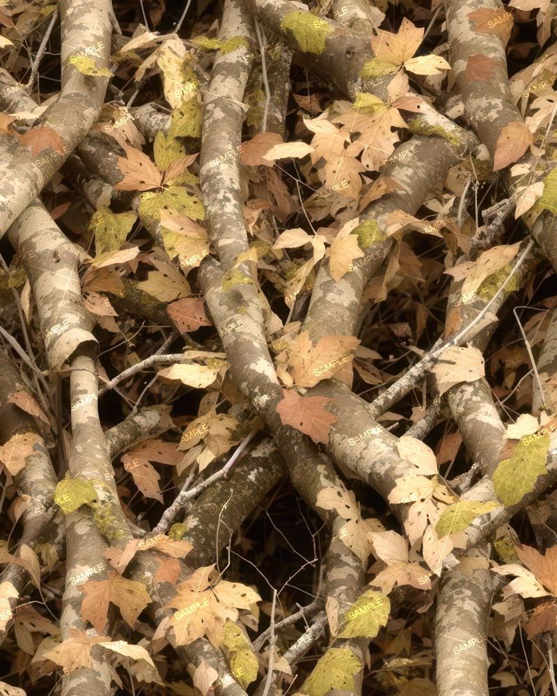 Tactical Camouflage 288