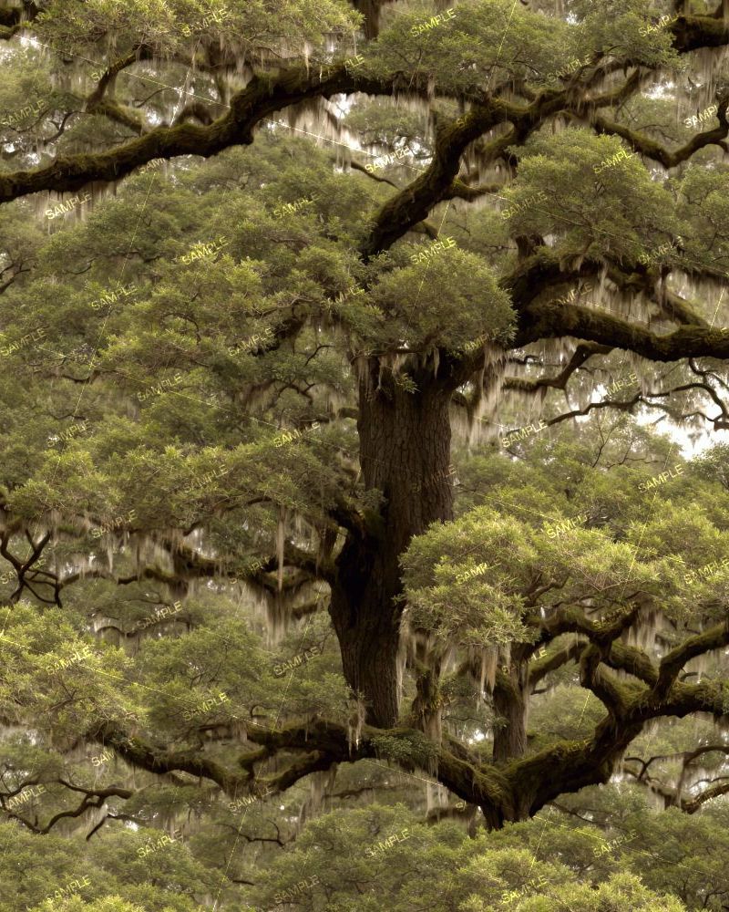 Tactical Camouflage 292