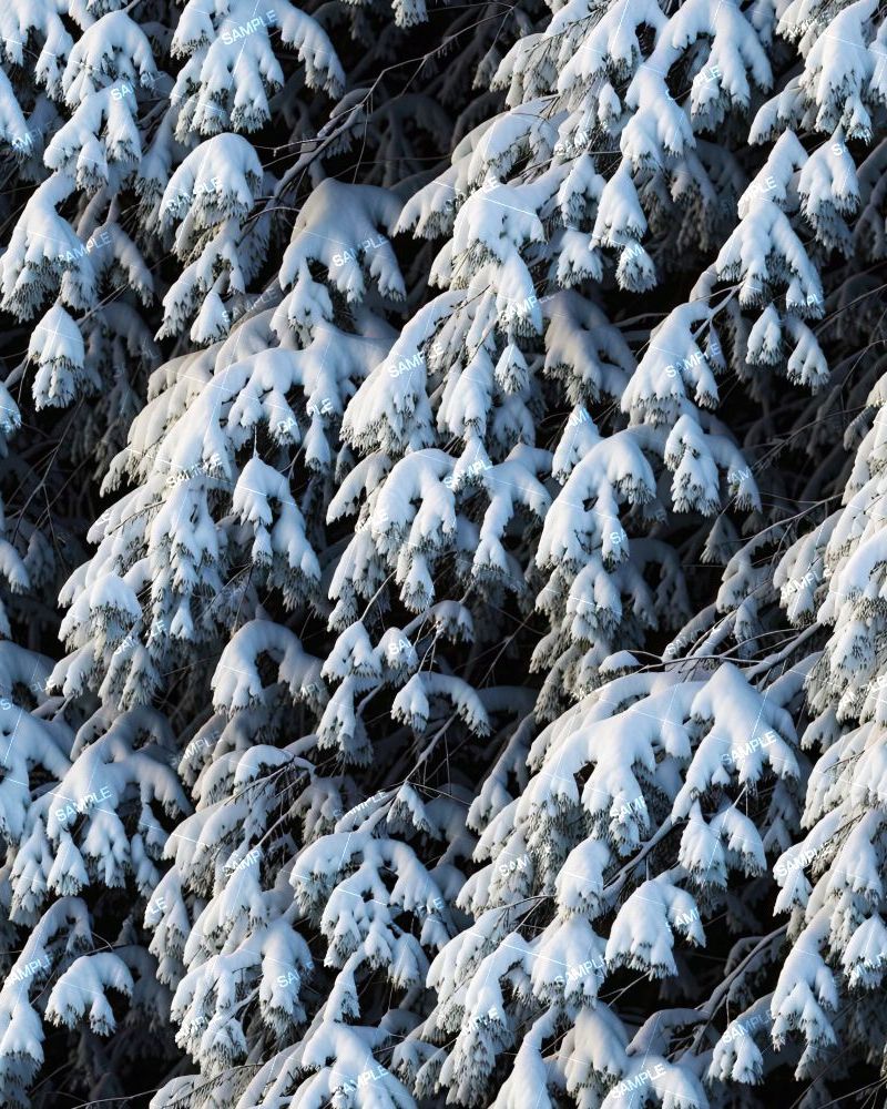 Tactical Snow Camouflage 279