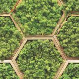 Wall-Planters-42.jpg