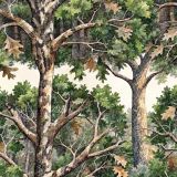 Watercolor-Tree-Camo-22.jpg